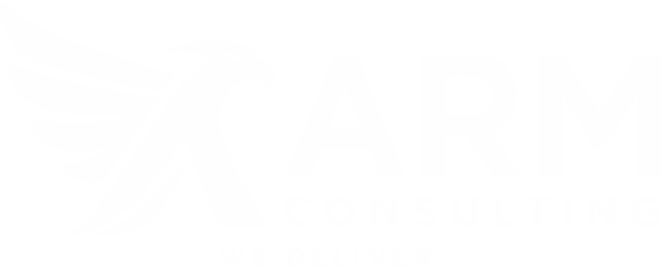 ARM Consulting